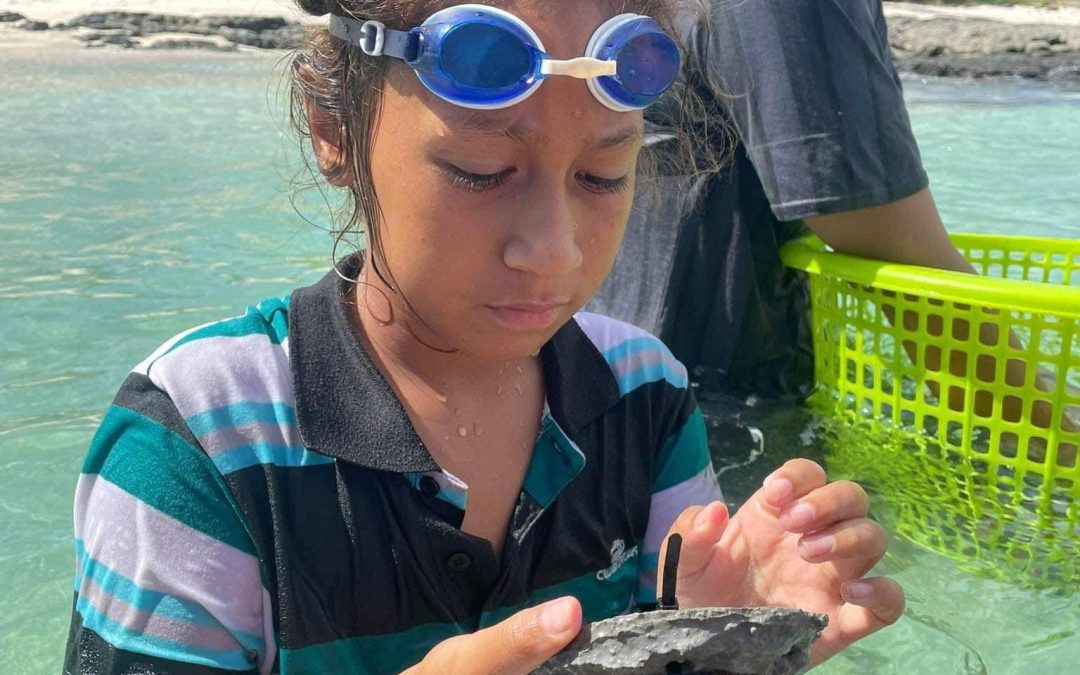 Coral Reef Planting