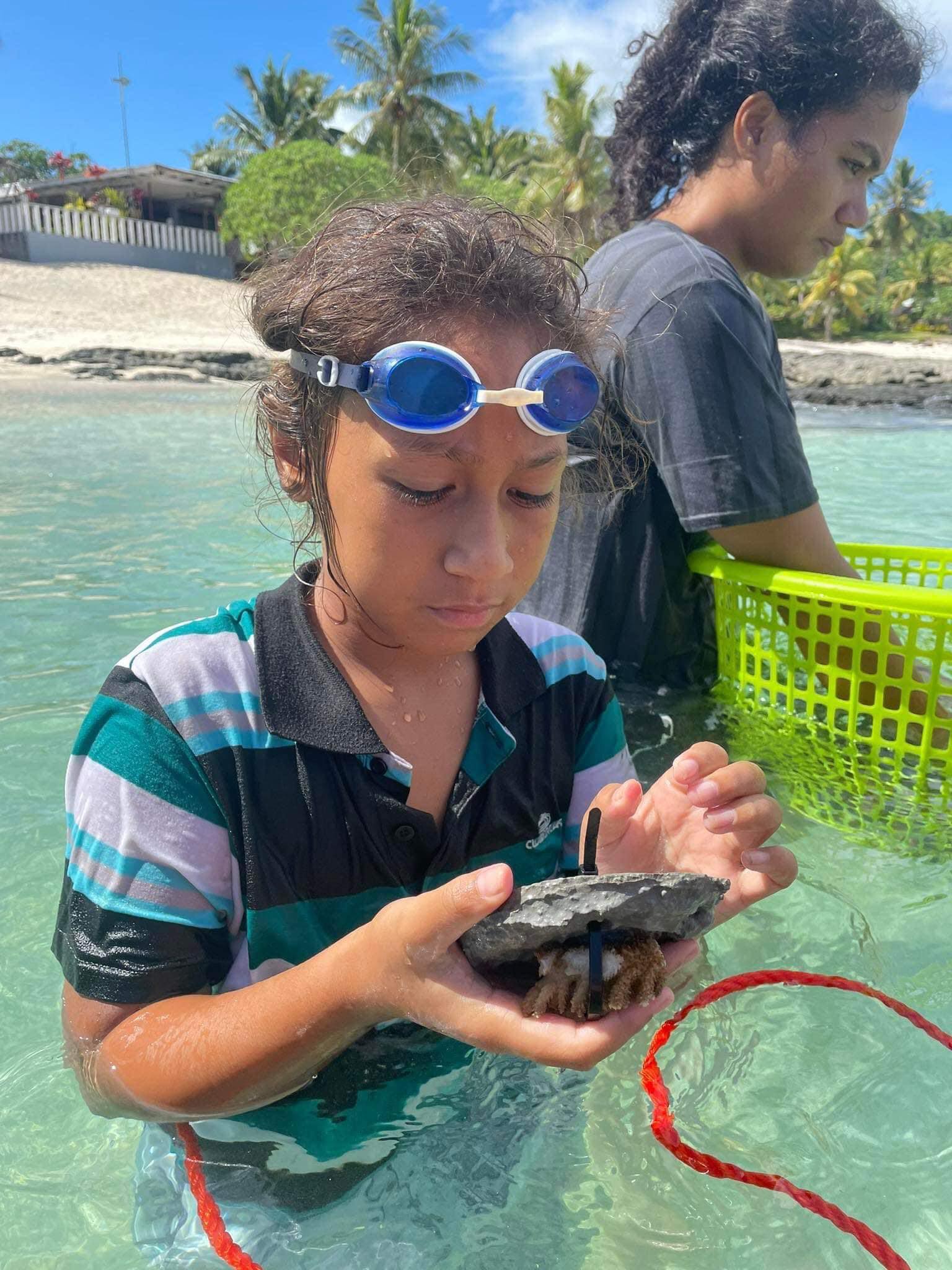 Coral Reef Planting
